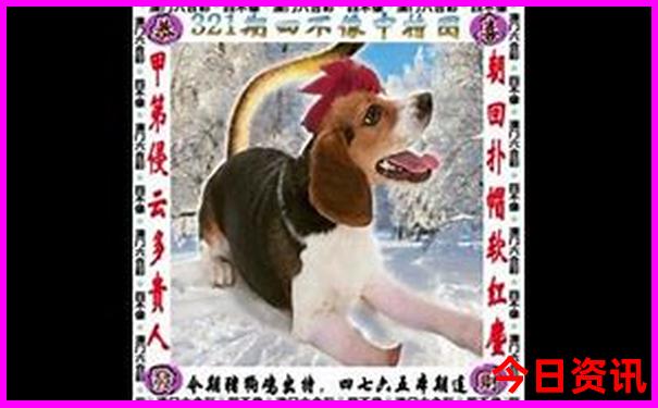 7.8月份去哪里避暑